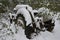 Ford Tractor covered in snow