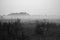 Fore land shot in black and white with fog on grass and heather in Denmark, Mystical