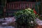 In the foreground, backlit decorative plant composition in the pot