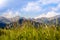 In the foreground blurred grass, and in the background a beautiful range of Tatra mountains in Poland