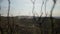 In the foreground, blurry branches and in the background, windmills working at energy field in the mountain