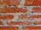 Foreground of a brick wall