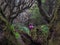 In the foreground a defocused tree trunk. In the background, people go hiking.