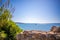 The foreground is an oriental plant and in the background is the blue sea in beautiful weather