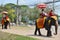 Foreigner traveller riding Thai Elephants tour in Ayutthaya Thailand.