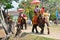 Foreigner traveller riding Thai Elephants tour in Ayutthaya Thailand.