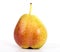 forelle pear