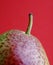 Forelle Pear against red background