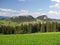 Forest above Vysny Kubin, Slovakia