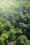 Forest aerial top view. Green leaves wallpaper