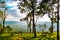 Forest along the cliff at Sai Thong National Park View Point, Chaiyaphum Province