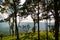 Forest along the cliff at Sai Thong National Park View Point, Chaiyaphum Province