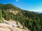 Forest along Trail above Helen Hunt Falls in Colorado