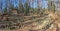 The Forest Amphitheatre. Outdoor classroom in forest. Letenka Picnic Area.