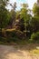 Forest with ancient rocks with moss. Way to the Falcon`s Nest and Pravcice Gate.