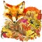 Forest animal fox Autumn nature colorful leaves background