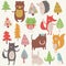 Forest animals