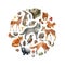 Forest animals and birds round shape. Wildlife collection. Hand drawn wild forest animal set. Bear, fox, wolf, rabbit