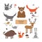 Forest animals in cartoon style on white background. Forest animals set. Wildlife collection