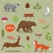 Forest animals and elements