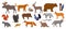 Forest animals isolated on white set of vector illustration. Woodland animals and birds. Moose, deer, bear and hedgehog