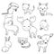 Forest animals outlines set for coloring