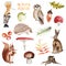 Forest animals and plants watercolor element set