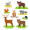 Forest animals set flat vector illustration with hare, wild boar, squirrel, owl, raccoon, hedgehog, deer, bear on the