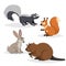 Forest animals set. Skunk, squirrel, hare and beaver. Happy smiling and cheerful characters. Vector zoo illustrations