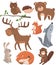 Forest animals set, woodland cute animal owl bird, bear, hedgehog, deer, squirrel, wolf, hare, fox, beaver cartoon