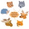 Forest animals vector. Animals of the forest. Animals in the for