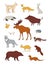 Forest animals. Vector color drawing silhouette image set