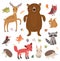 Forest animals. Vector set. Collection of cute characters.