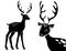 Forest animals vector silhouettes set. Predator animal mammal, illustration of black silhouette deer. hand drawing