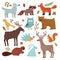 Forest animals. Wolf, raccoon and fox, bear and owl, deer, squirrel and hedgehog, hare and beaver, elk. Wildlife vector