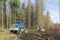 Forest area cleared after bark beetle infestation and drought