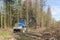 Forest area cleared after bark beetle infestation and drought