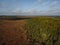 Forest area surrounded by large swamp.