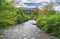 Forest around North Caucasus mountain river. Spring view