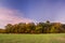 Forest in autumn colors on the edge of a green field of young sprouts of winter wheat