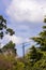 Forest on the background of cranes and construction. Nature and civilization. View of the tower crane through the park and