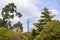 Forest on the background of cranes and construction. Nature and civilization. View of the tower crane through the park and