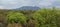 Forest in Baluran National Park, Banyuwangi, East Java, Indonesia