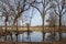 A Forest of Bare Trees in Autumn sheltering a Frog Pond 2