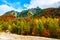 Forest below Jof di Montasio in autumn