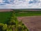 Forest belt along farm fields on a sunny day, aerial view. Agricultural landscape