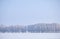 Forest belt of poplar trees under hoarfrost in snow field in winter season