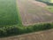 A forest belt separates several farm fields, top view. Agrarian landscape, bird`s-eye view