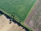 A forest belt separates several farm fields, top view. Agrarian landscape, bird`s-eye view