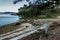 Forest on Bender Island in the Gulf of Morbihan. France